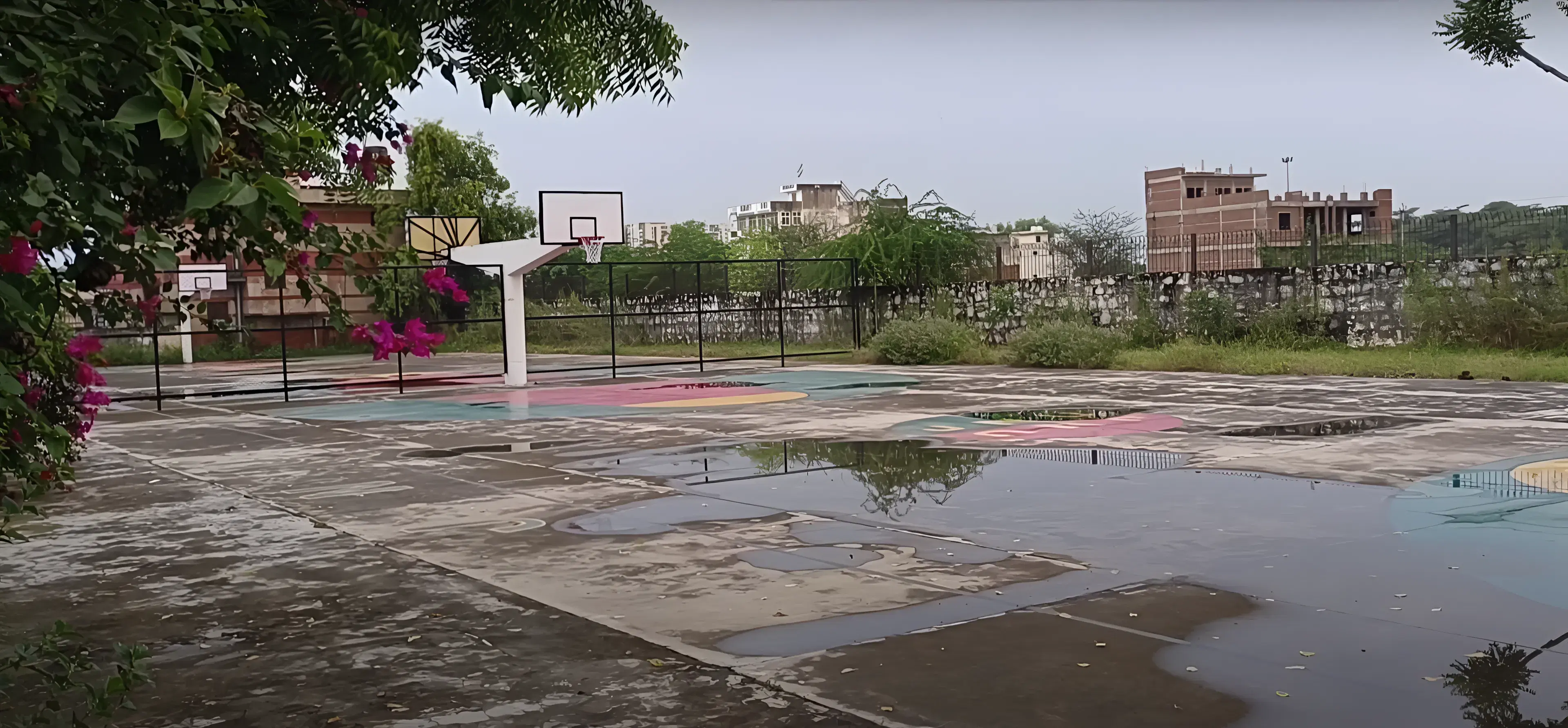 School of Distance Education and Learning, Jaipur National University Academic Infrastructure photo 2